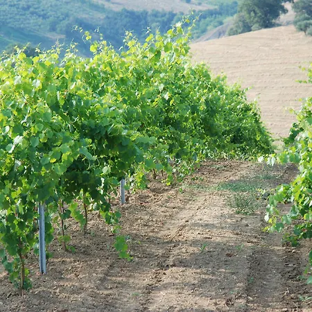 Masseria Le Due Colline Farm stay Citta Sant'Angelo