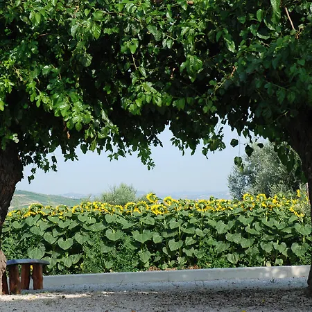 Farma Masseria Le Due Colline Citta Sant'Angelo