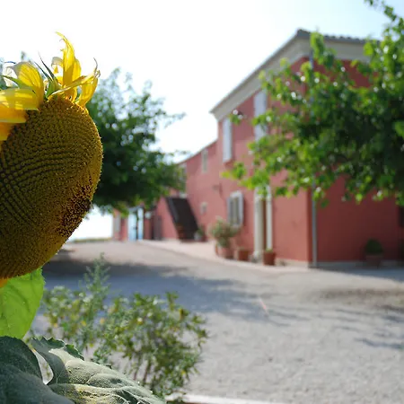 Masseria Le Due Colline Citta Sant'Angelo