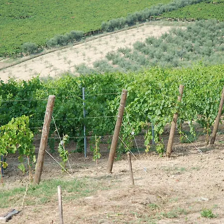 Farm stay Masseria Le Due Colline Citta Sant'Angelo